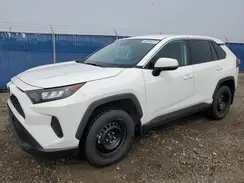 2T3B1RFV1NC266449 2022 TOYOTA RAV 4