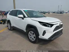 2T3B1RFV1RC448920 2024 TOYOTA RAV 4