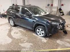 2T3B1RFV2KW001226 2019 TOYOTA RAV 4