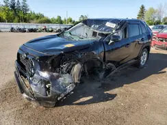 2T3B1RFV2KW027440 2019 TOYOTA RAV 4