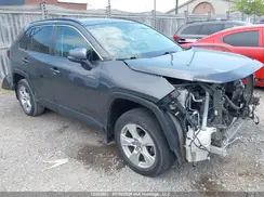 2T3B1RFV2KW068134 2019 TOYOTA RAV 4