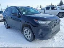 2T3B1RFV2LC123698 2020 TOYOTA RAV 4