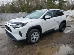 2T3B1RFV2LW119018 2020 TOYOTA RAV 4