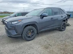 2T3B1RFV2MW146463 2021 TOYOTA RAV 4