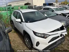 2T3B1RFV2MW216110 2021 TOYOTA RAV 4
