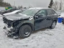 2T3B1RFV2PC326760 2023 TOYOTA RAV 4