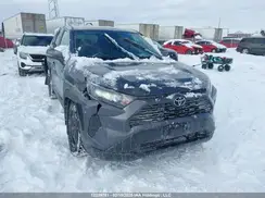 2T3B1RFV2PC341422 2023 TOYOTA RAV 4
