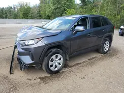 2T3B1RFV2RC400391 2024 TOYOTA RAV 4