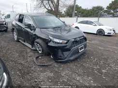 2T3B1RFV2RC440616 2024 TOYOTA RAV 4