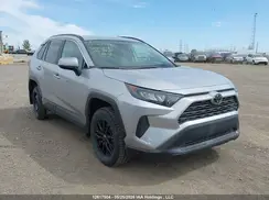 2T3B1RFV3KC038982 2019 TOYOTA RAV 4