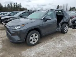 2T3B1RFV3KC056432 2019 TOYOTA RAV 4