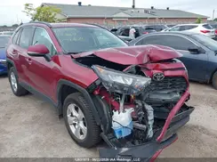 2T3B1RFV3KW067624 2019 TOYOTA RAV 4