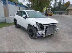 2T3B1RFV3PC341607 2023 TOYOTA RAV 4