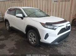 2T3B1RFV3PW359555 2023 TOYOTA RAV 4
