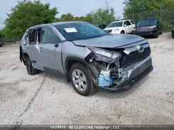 2T3B1RFV3RC410301 2024 TOYOTA RAV 4