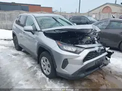2T3B1RFV3RC435196 2024 TOYOTA RAV 4