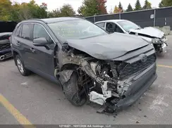 2T3B1RFV4KC046279 2019 TOYOTA RAV 4