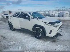 2T3B1RFV4KW046250 2019 TOYOTA RAV 4