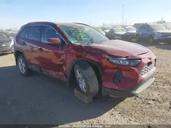 2T3B1RFV4KW066613 2019 TOYOTA RAV 4
