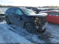 2T3B1RFV5KC013808 2019 TOYOTA RAV 4