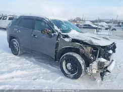 2T3B1RFV5KC020242 2019 TOYOTA RAV 4