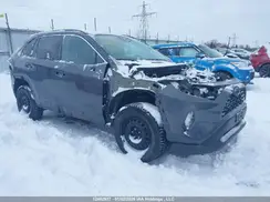 2T3B1RFV5KW039629 2019 TOYOTA RAV 4