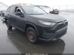 2T3B1RFV5LC101971 2020 TOYOTA RAV 4