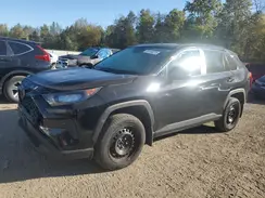 2T3B1RFV5MC220184 2021 TOYOTA RAV 4