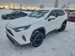 2T3B1RFV5NC265465 2022 TOYOTA RAV 4