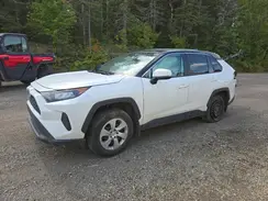 2T3B1RFV5PC338191 2023 TOYOTA RAV 4