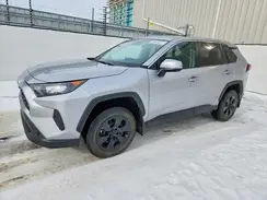 2T3B1RFV5PC384880 2023 TOYOTA RAV 4