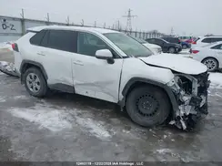2T3B1RFV5PW360528 2023 TOYOTA RAV 4