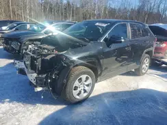 2T3B1RFV5RC415760 2024 TOYOTA RAV 4