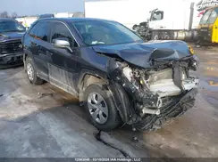 2T3B1RFV5RC442988 2024 TOYOTA RAV 4