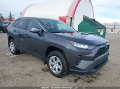 2T3B1RFV5RC451092 2024 TOYOTA RAV 4