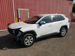 2T3B1RFV5SC512513 2025 TOYOTA RAV 4