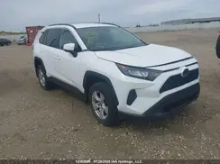 2T3B1RFV6KC005278 2019 TOYOTA RAV 4