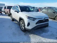 2T3B1RFV6KC038720 2019 TOYOTA RAV 4