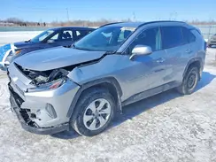 2T3B1RFV6MW248137 2021 TOYOTA RAV 4