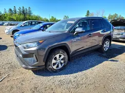 2T3B1RFV6NC324068 2022 TOYOTA RAV 4