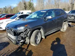 2T3B1RFV6PC389182 2023 TOYOTA RAV 4