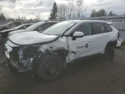 2T3B1RFV6RC426461 2024 TOYOTA RAV 4