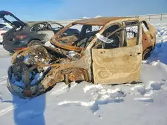 2T3B1RFV6RC441557 2024 TOYOTA RAV 4