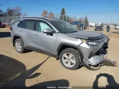 2T3B1RFV7KW061129 2019 TOYOTA RAV 4