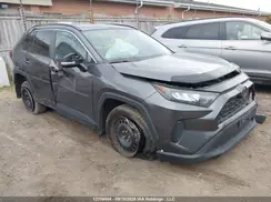 2T3B1RFV7MC243014 2021 TOYOTA RAV 4