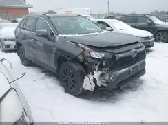 2T3B1RFV7MW143767 2021 TOYOTA RAV 4