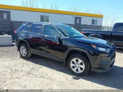 2T3B1RFV7PC360113 2023 TOYOTA RAV 4