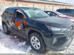 2T3B1RFV7RC426064 2024 TOYOTA RAV 4
