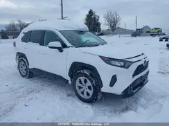 2T3B1RFV7RC431572 2024 TOYOTA RAV 4
