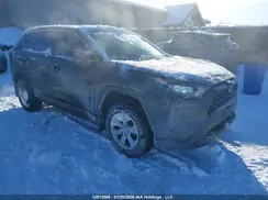 2T3B1RFV7RC436142 2024 TOYOTA RAV 4